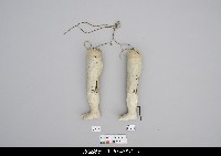 藏品(人形淨琉璃一組-右腳)的圖片